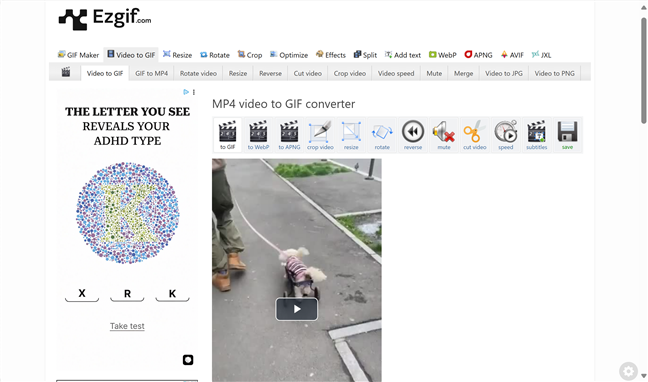 create-gif-6
