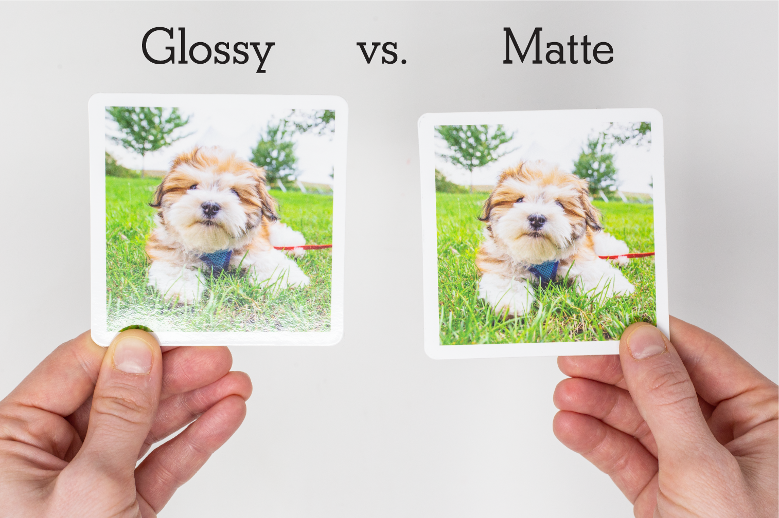 glossy-vs.-matte -photo-paper